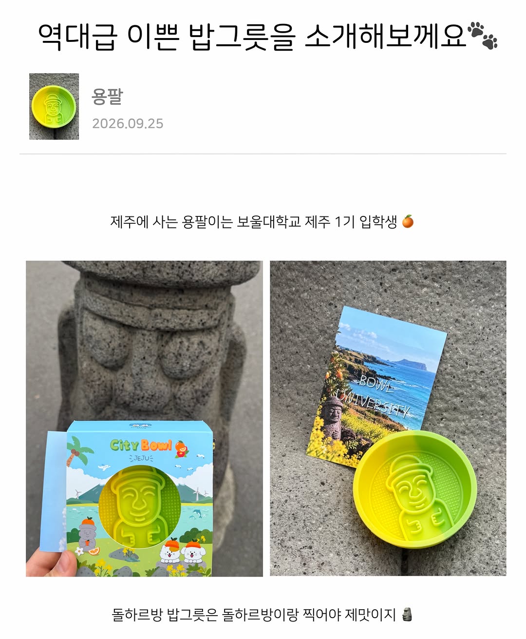 @miss_yongpal이 올린 보울대학교 태그 게시물