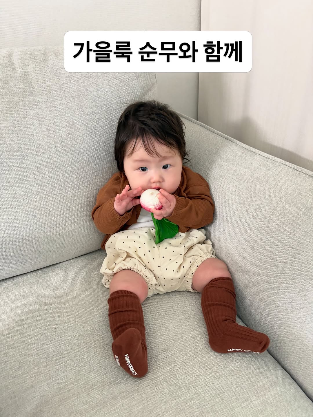 @my_yun100이 올린 해피프린스 태그 게시물