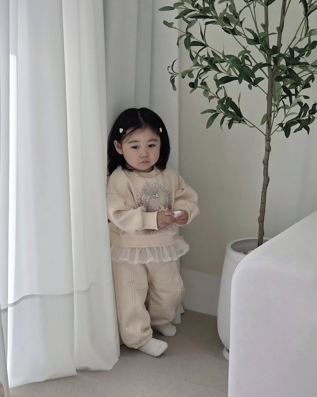 @mini_yseo이 올린 푸엘라플로 태그 게시물