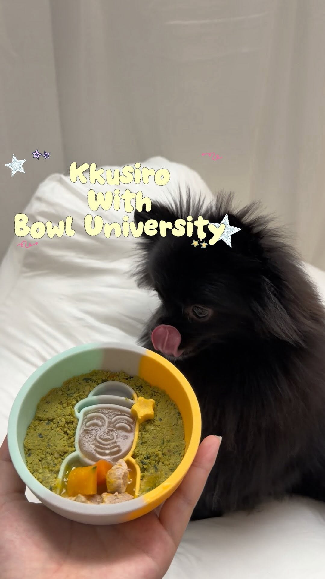 @roro._.kitchen25이 올린 보울대학교 태그 게시물