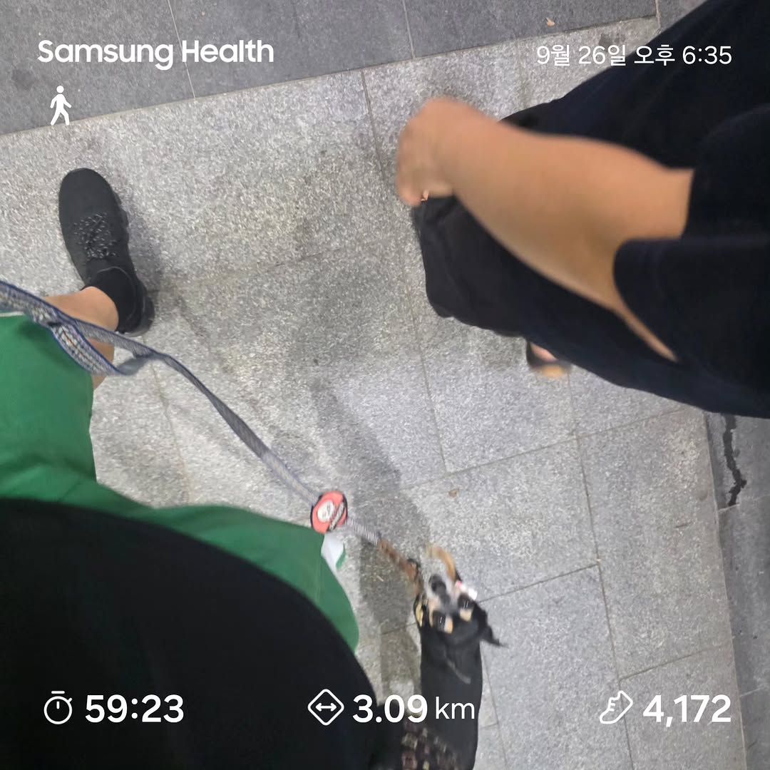 @kimsang0131이 올린 온유어마크 태그 게시물