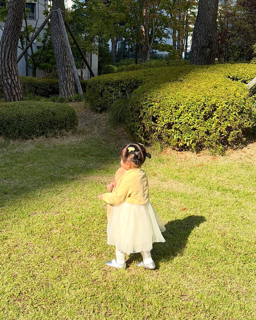 @lee_seo816이 올린 팸퍼스 태그 게시물