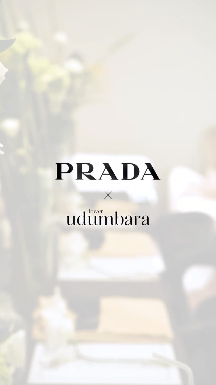 @udumbaraflower이 올린 현대백화점 태그 게시물