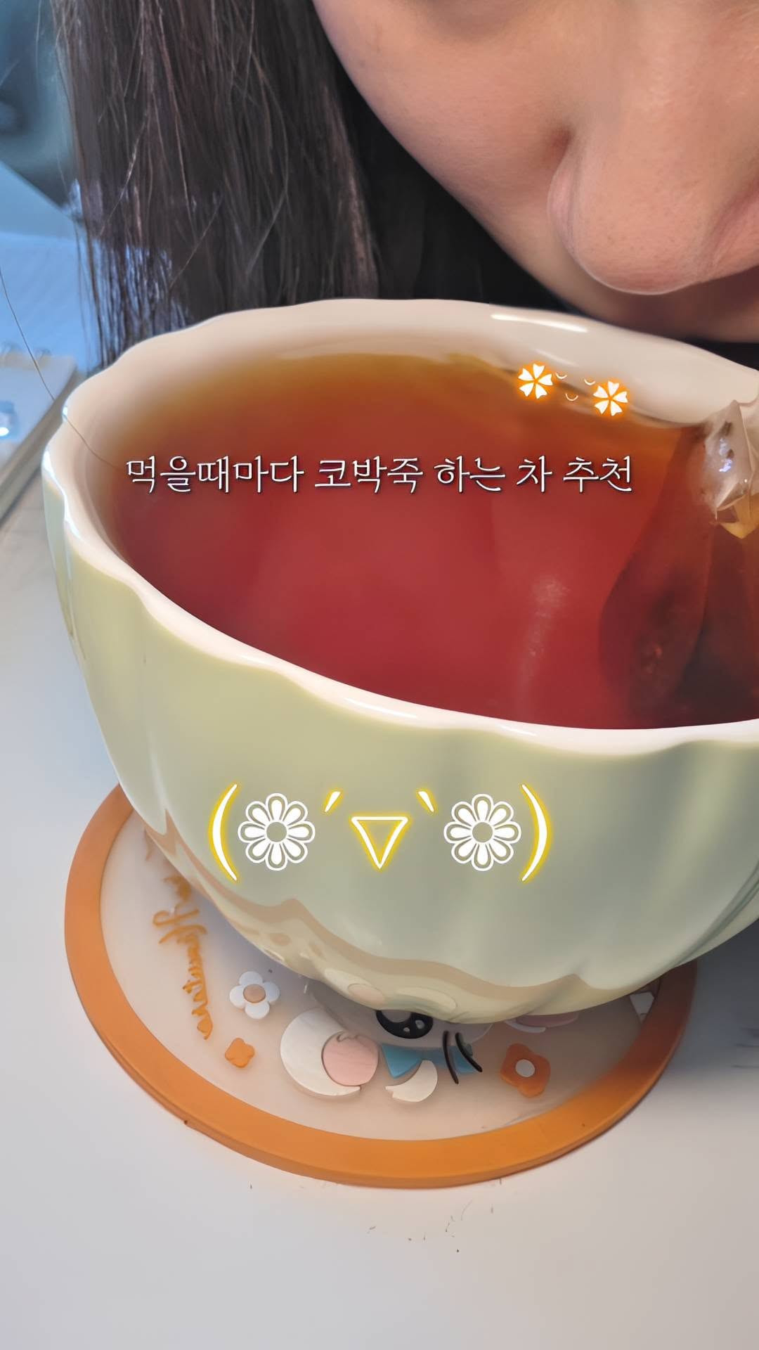 @ooz.steplog이 올린 오설록 OSULLOC 태그 게시물