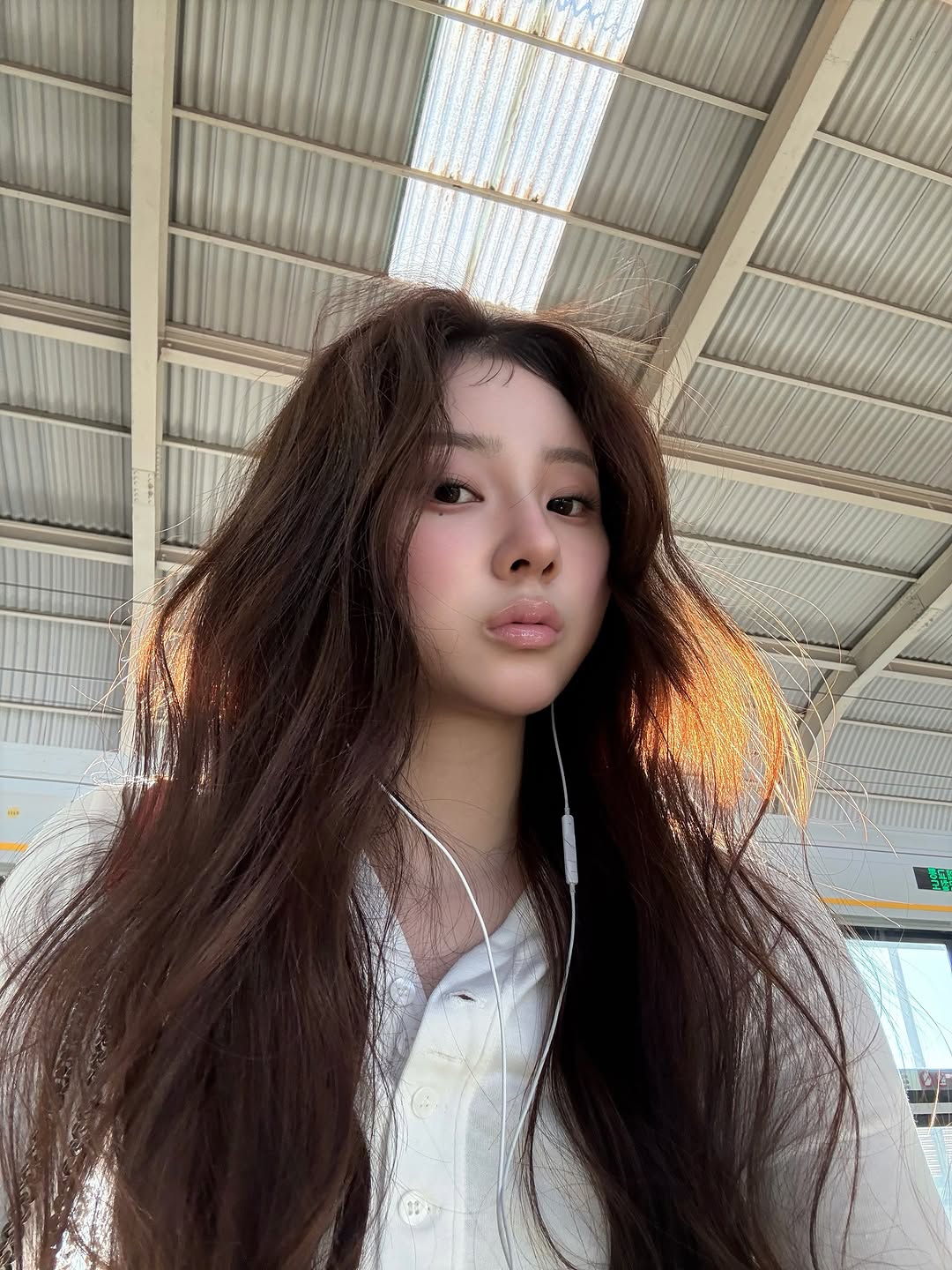 @aoesnc이 올린 렌시스 태그 게시물