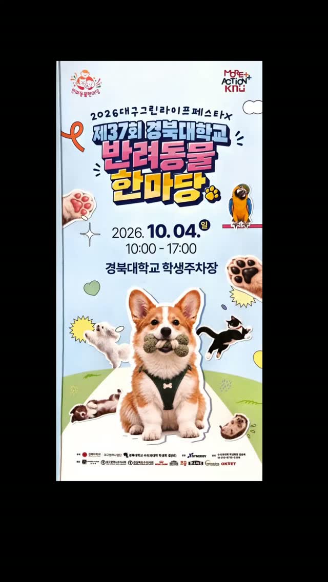 @bori.0508이 올린 펫마트 태그 게시물