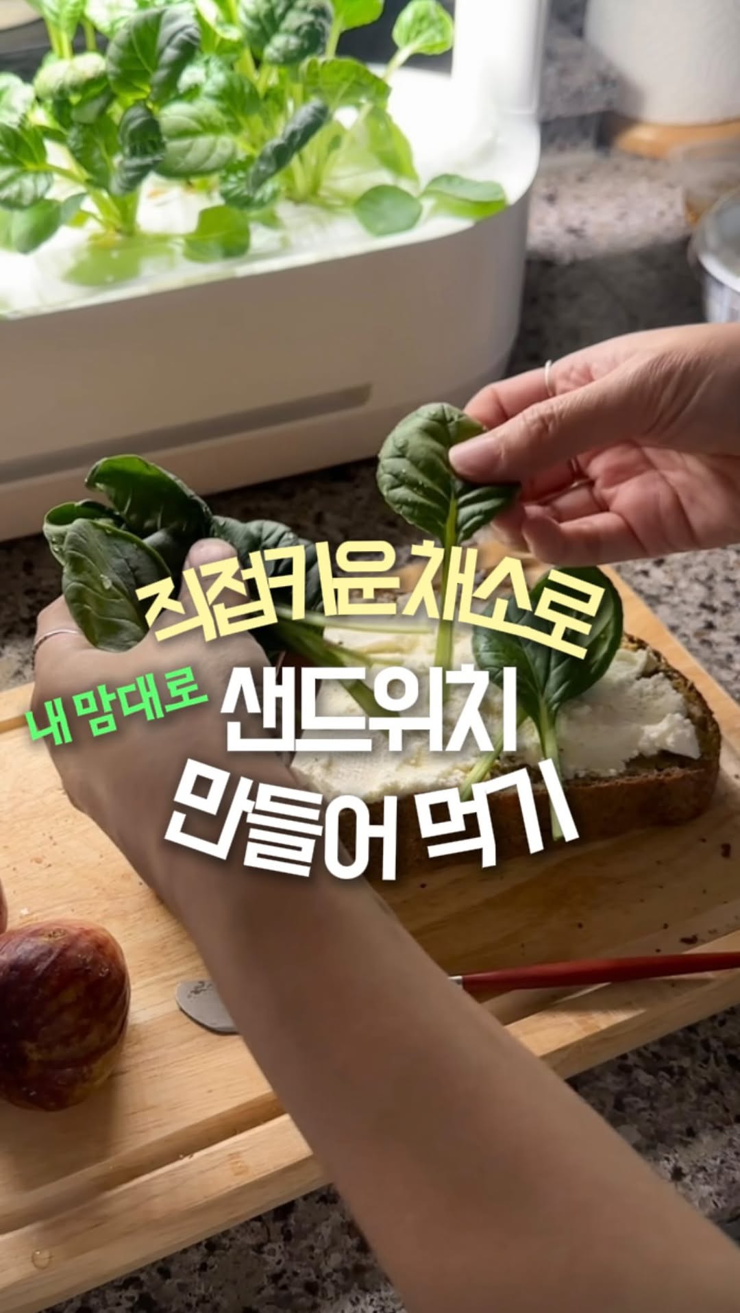 @lina.home.story이 올린 매일유업 태그 게시물
