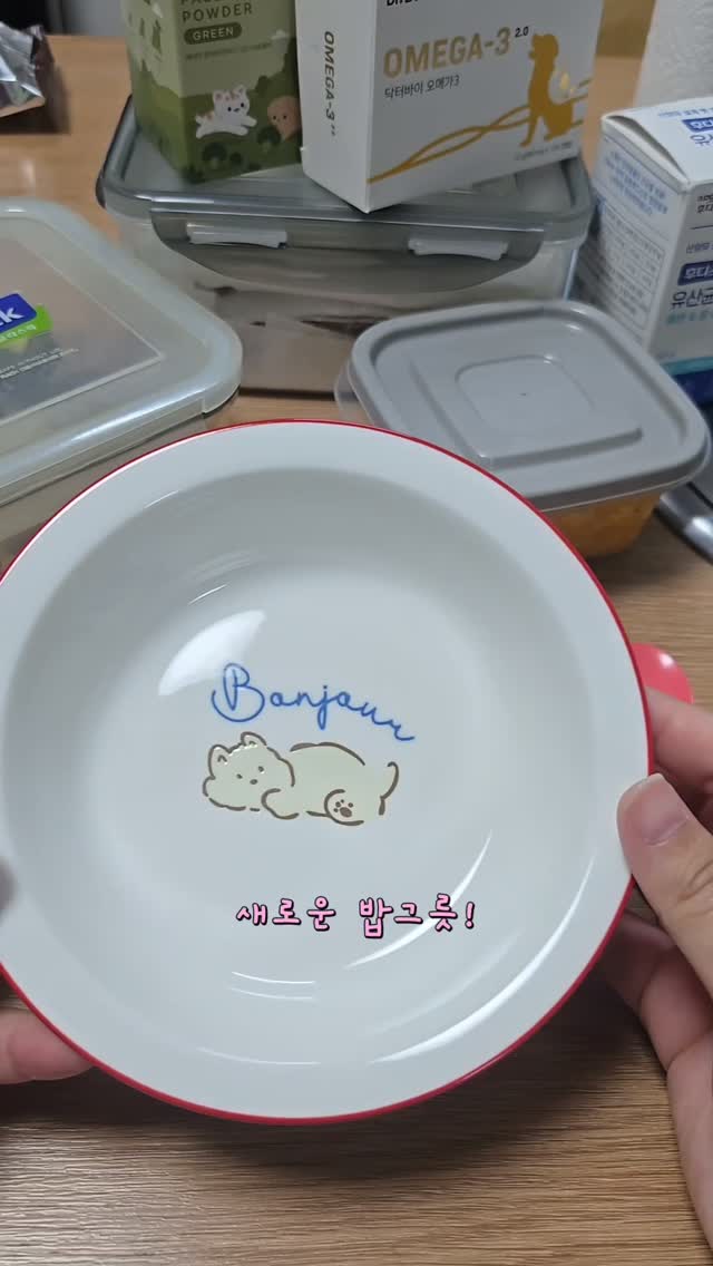 @moruuu_0603이 올린 마이펫닥터 태그 게시물