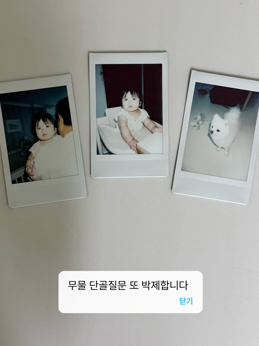 @_lazybora이 올린 인스탁스 태그 게시물