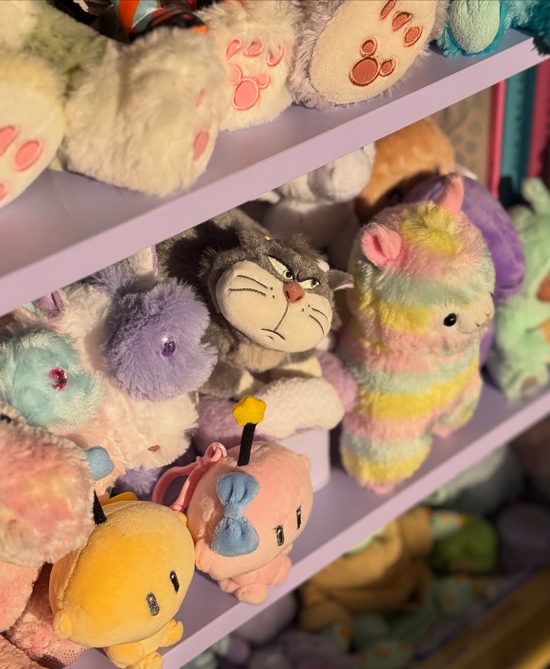 @tefa110이 올린 디즈니코리아 태그 게시물