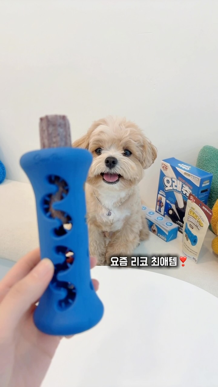 @rico_ddaczi이 올린 슈퍼포우 태그 게시물