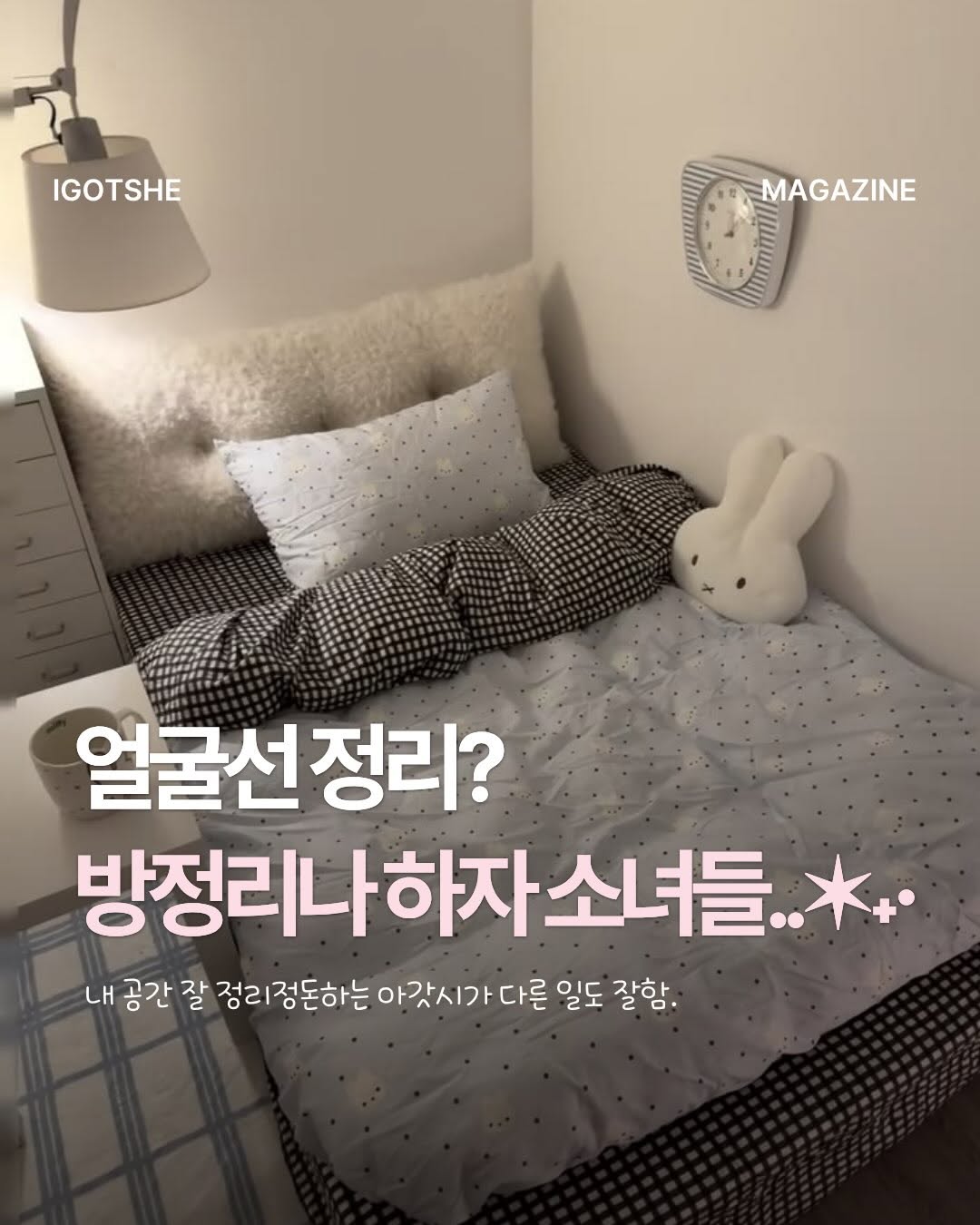@igotshe.mag이 올린 다이소 태그 게시물