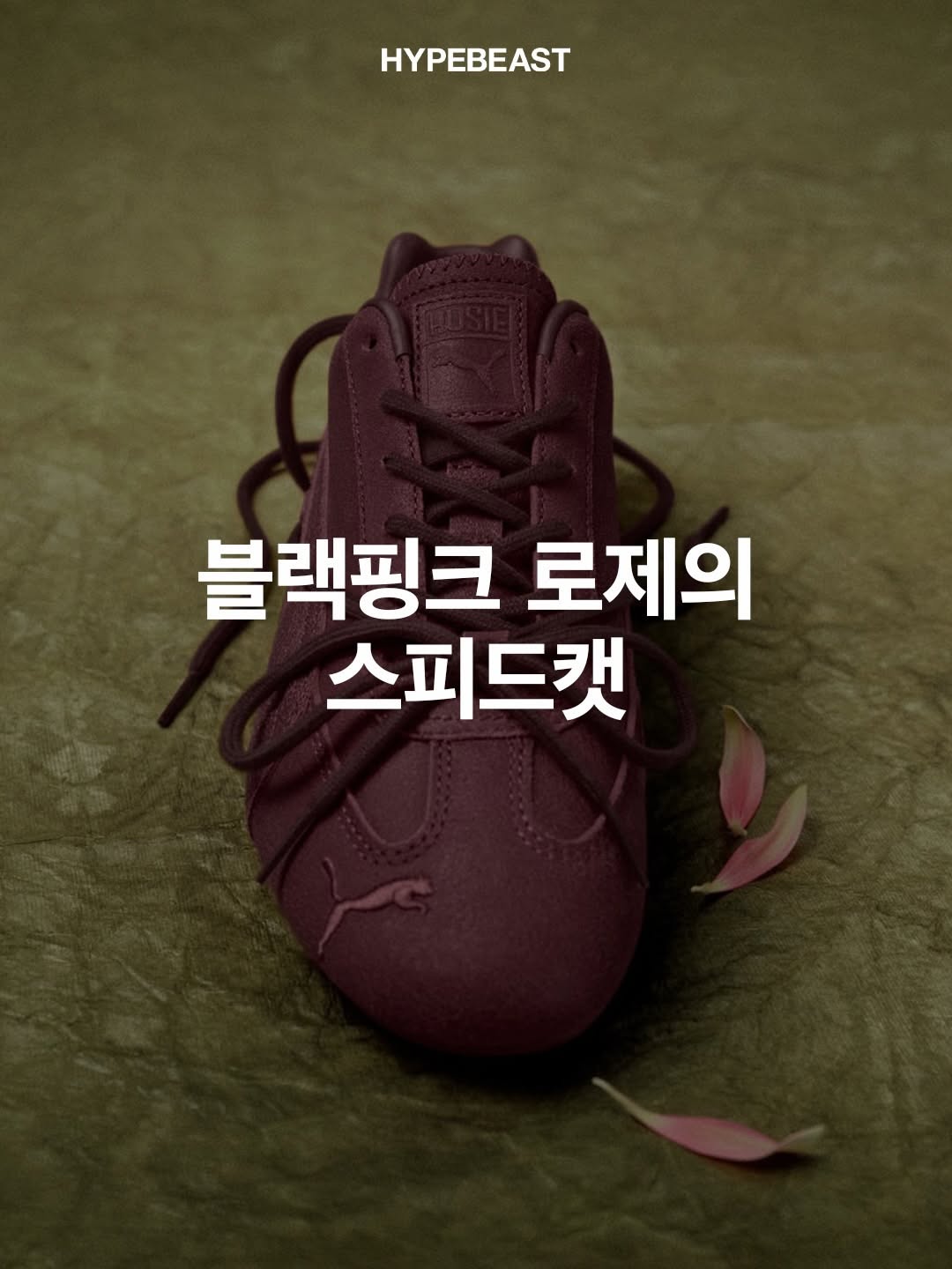 @hypebeastkr이 올린 푸마코리아 태그 게시물