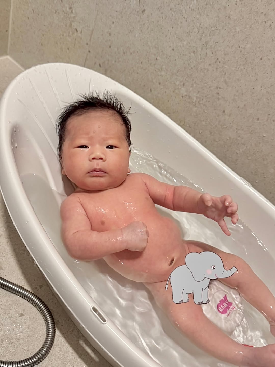 @dojun.nn이 올린 쁘띠엘린 태그 게시물
