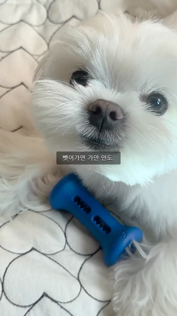 @jung._.ppu_syong이 올린 슈퍼포우 태그 게시물