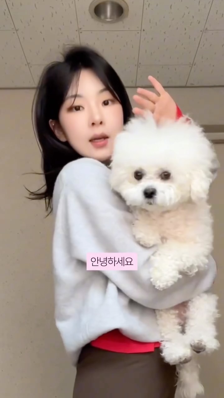 @r0zydada이 올린 유니클로 태그 게시물