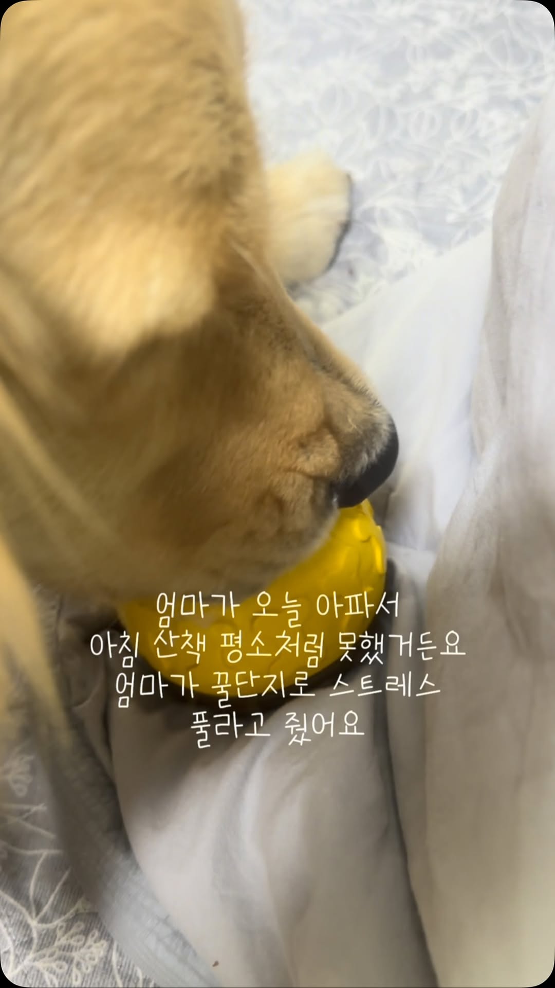 @nina.thinks이 올린 슈퍼포우 태그 게시물