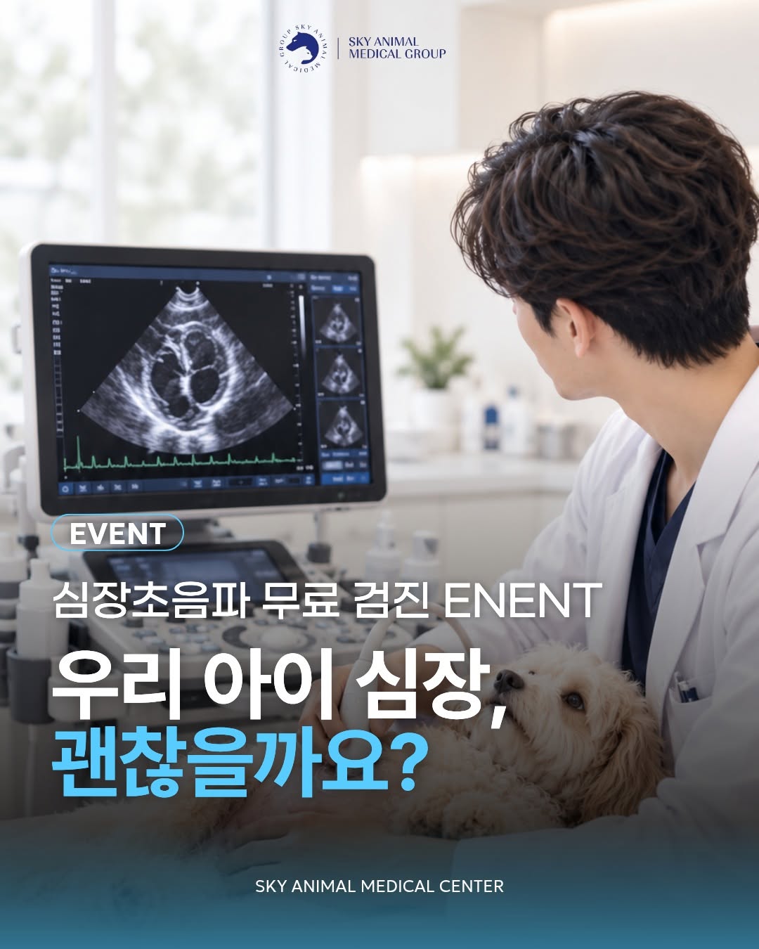 @skyamg_ic이 올린 펫생각 태그 게시물