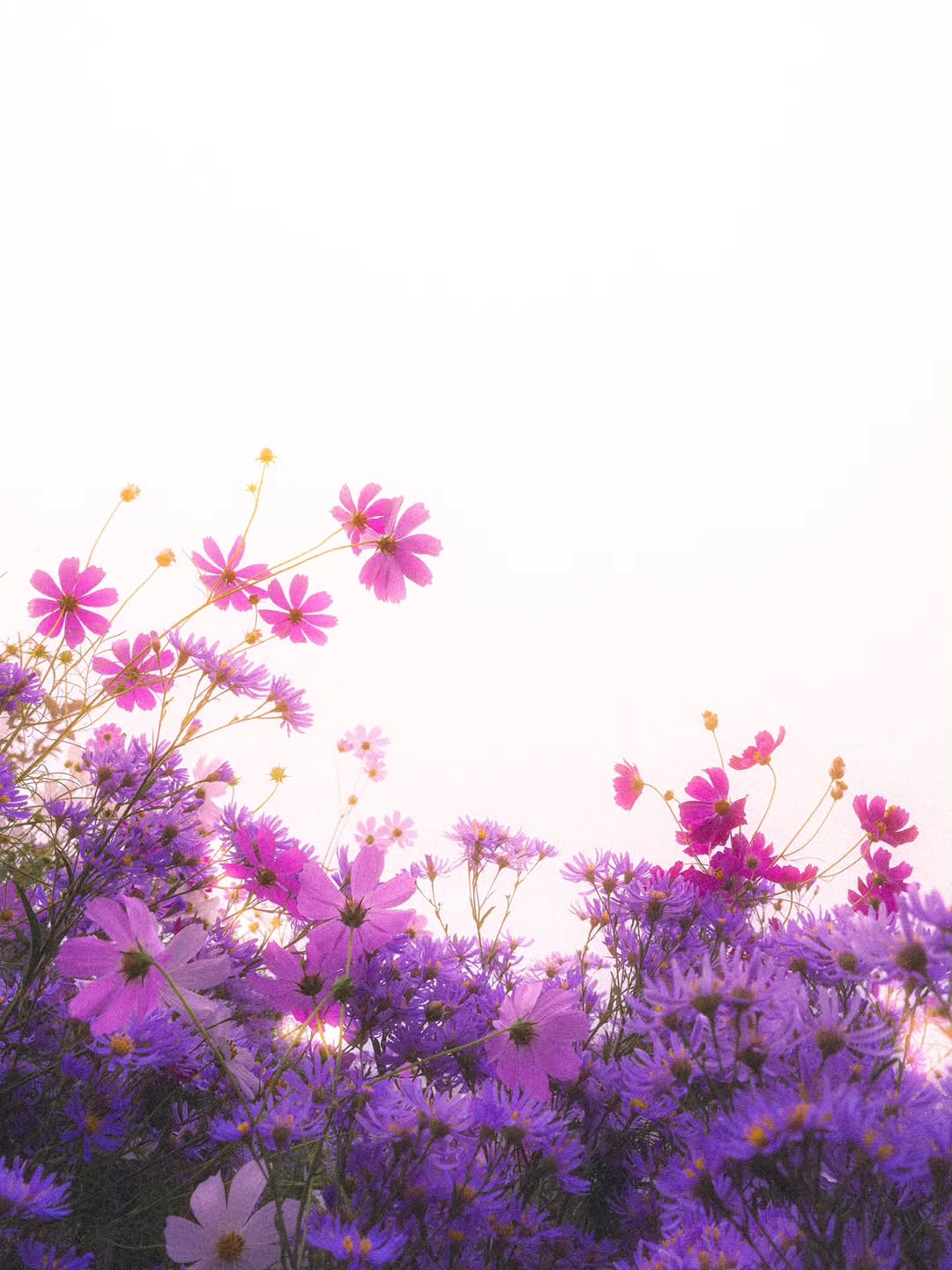 @_nahcmih이 올린 니콘이미징코리아 태그 게시물
