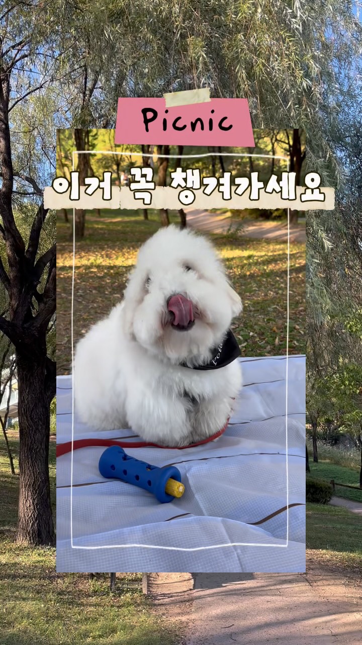 @potato_kko이 올린 슈퍼포우 태그 게시물