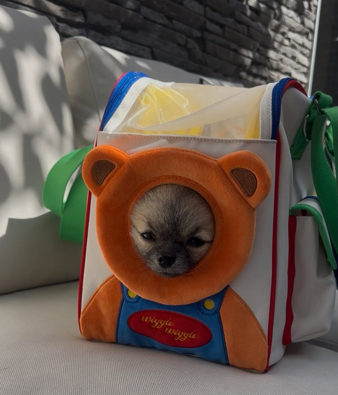 @bubbub.bubble이 올린 위글위글 태그 게시물