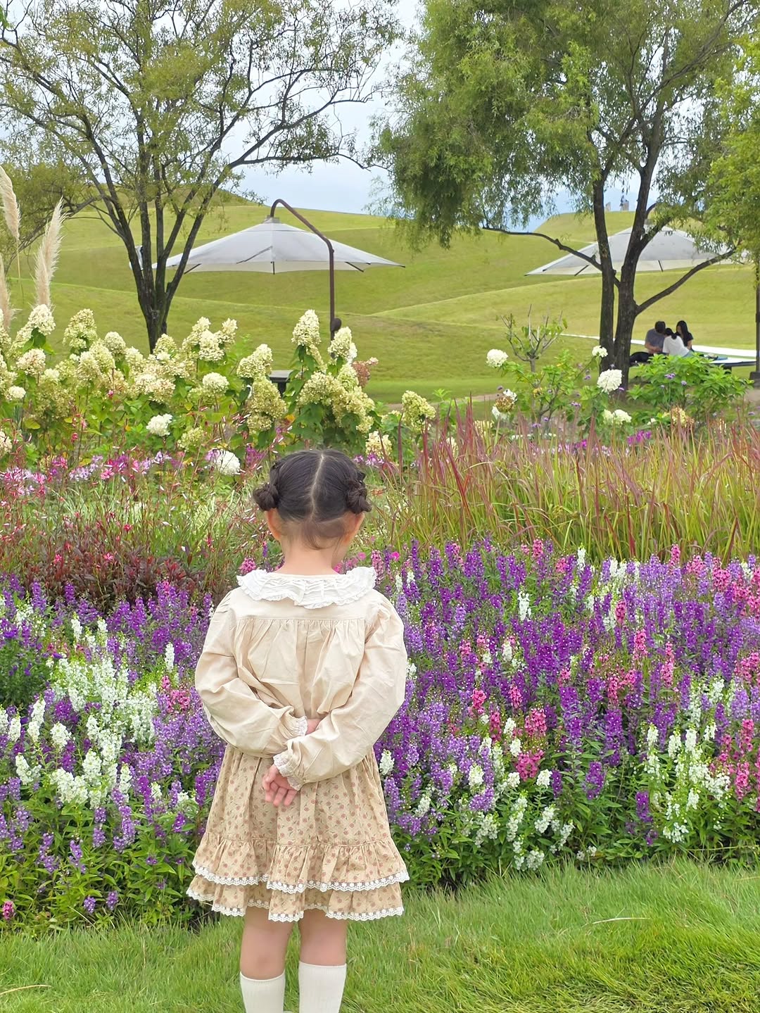@_dotor_of_my_eye_이 올린 푸엘라플로 태그 게시물