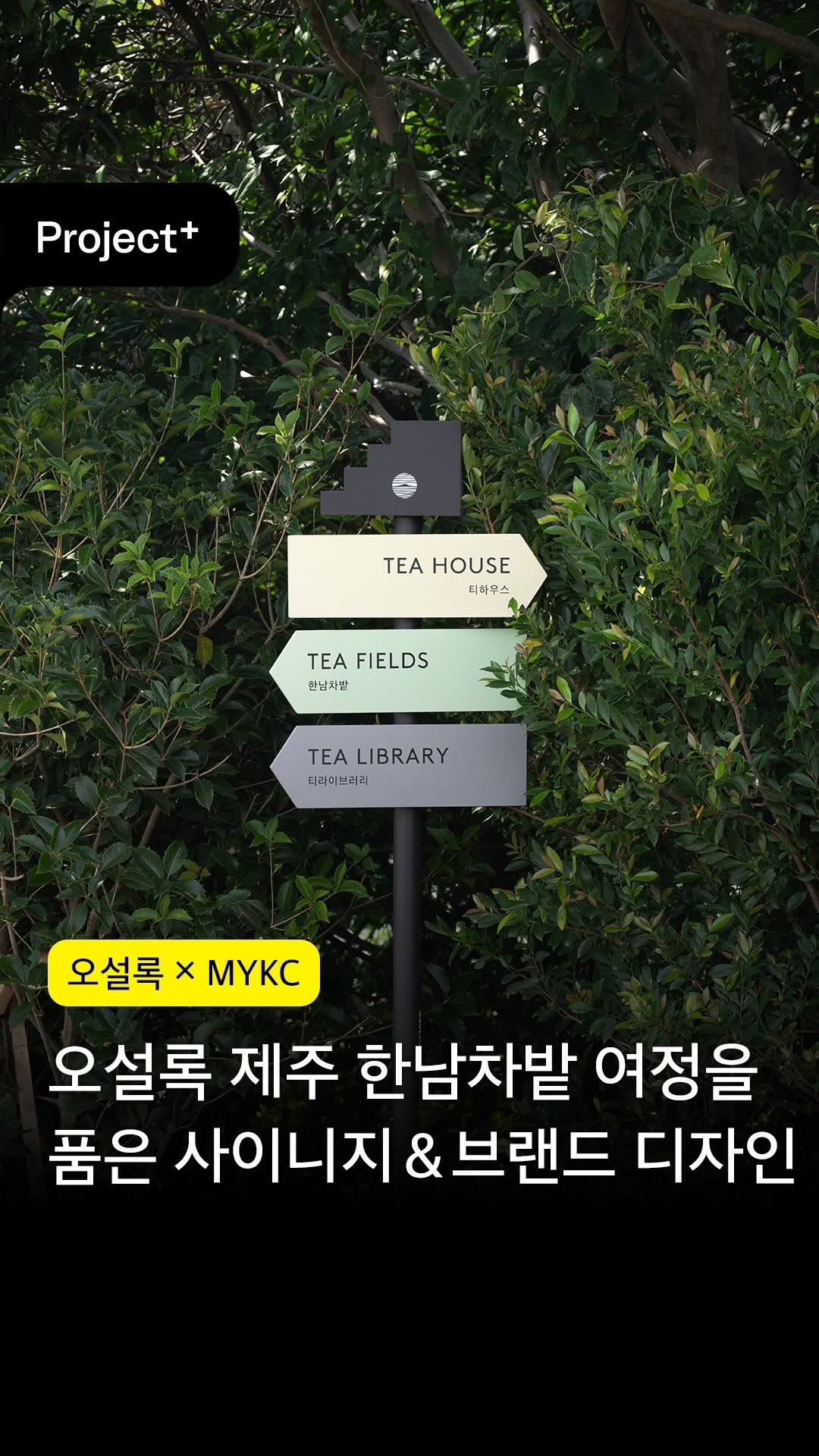 @monthlydesign이 올린 오설록 OSULLOC 태그 게시물