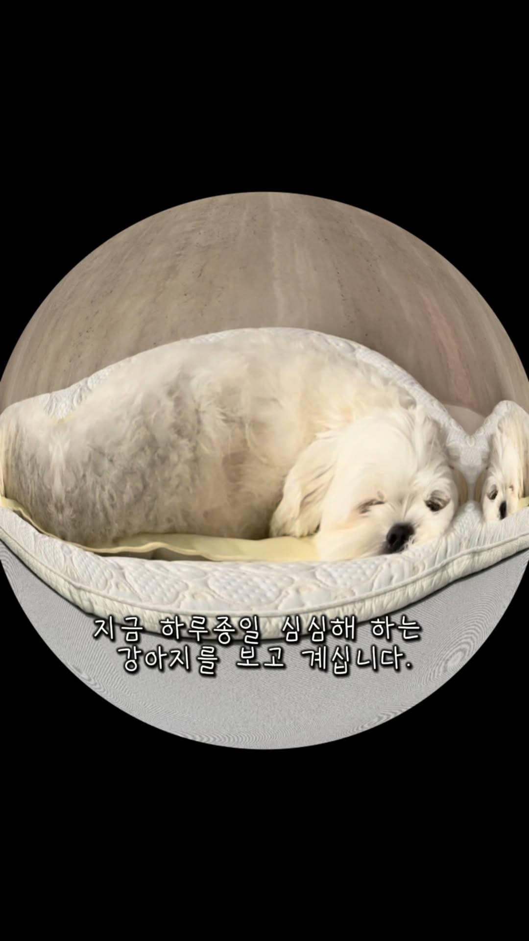 @bam2_ya이 올린 슈퍼포우 태그 게시물