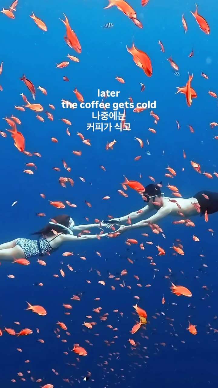 @freediveazit_dahab이 올린 인스타360 태그 게시물