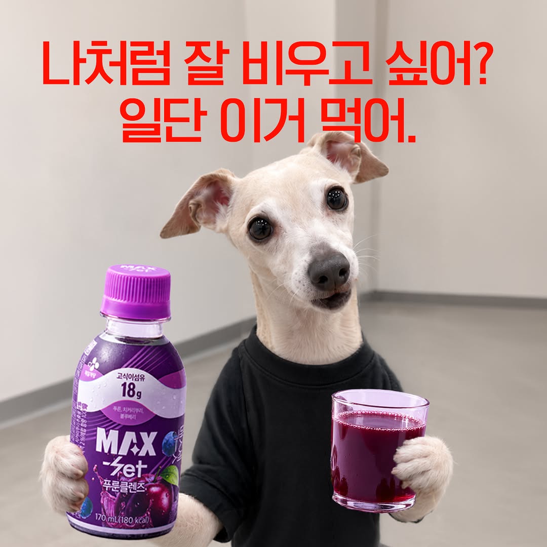 @cjperforma이 올린 CJ제일제당 태그 게시물