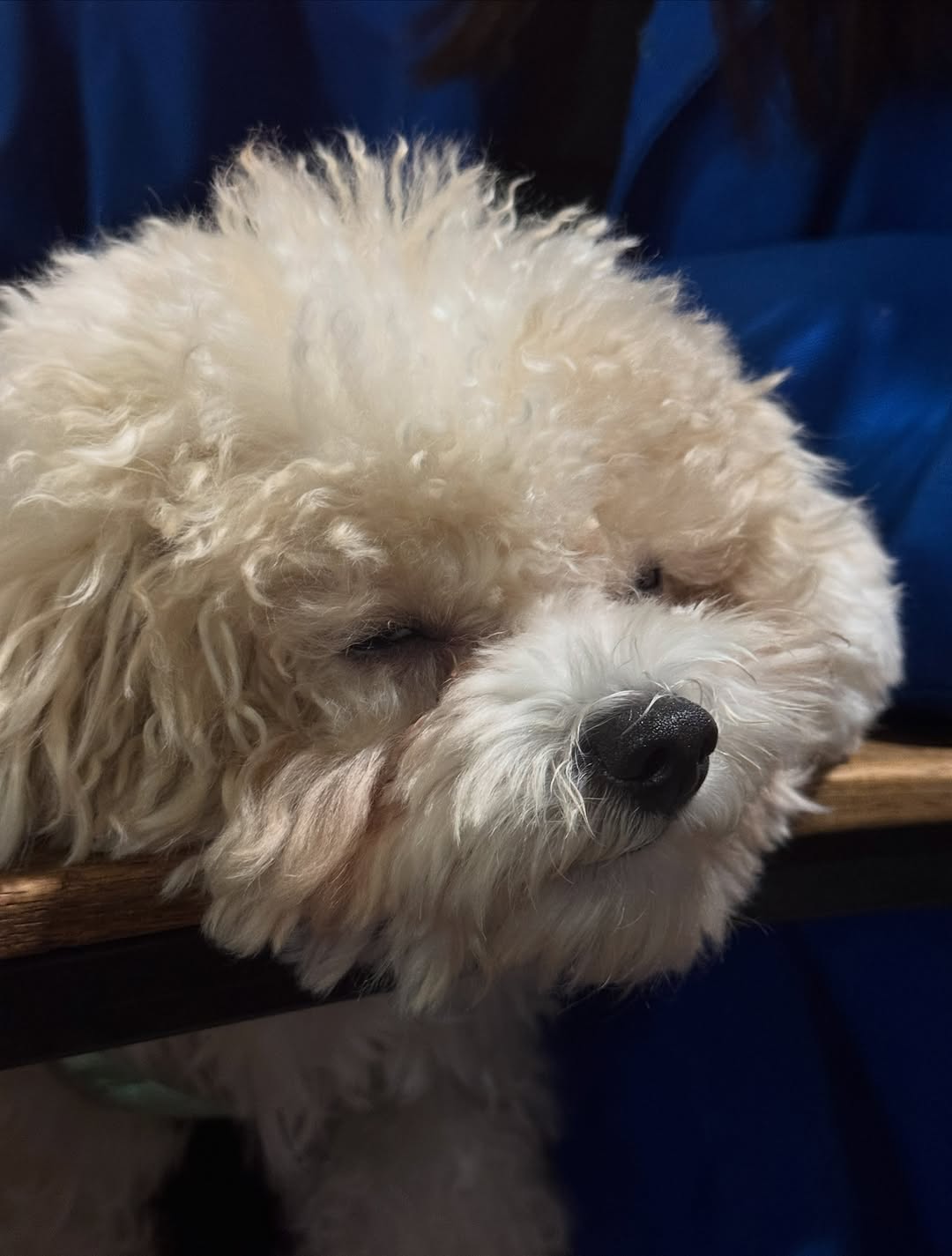 @sufferin이 올린 체리엑스엑스 태그 게시물