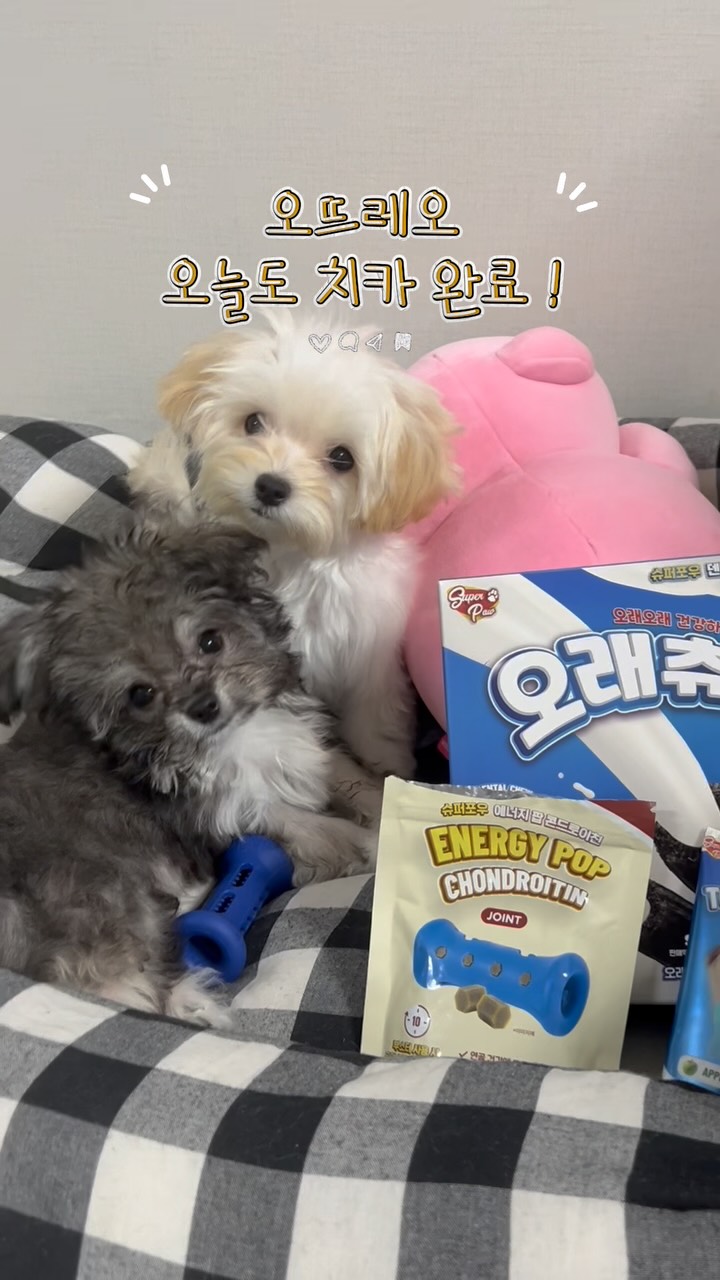 @o.ottreo이 올린 슈퍼포우 태그 게시물
