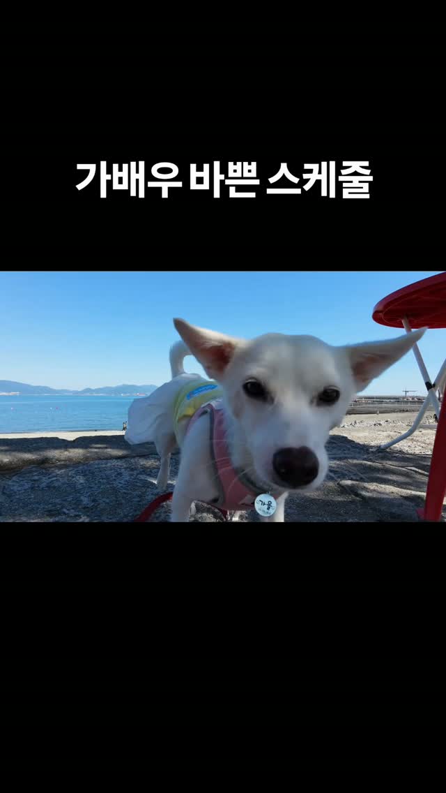 @stareal79이 올린 삼성전자 태그 게시물