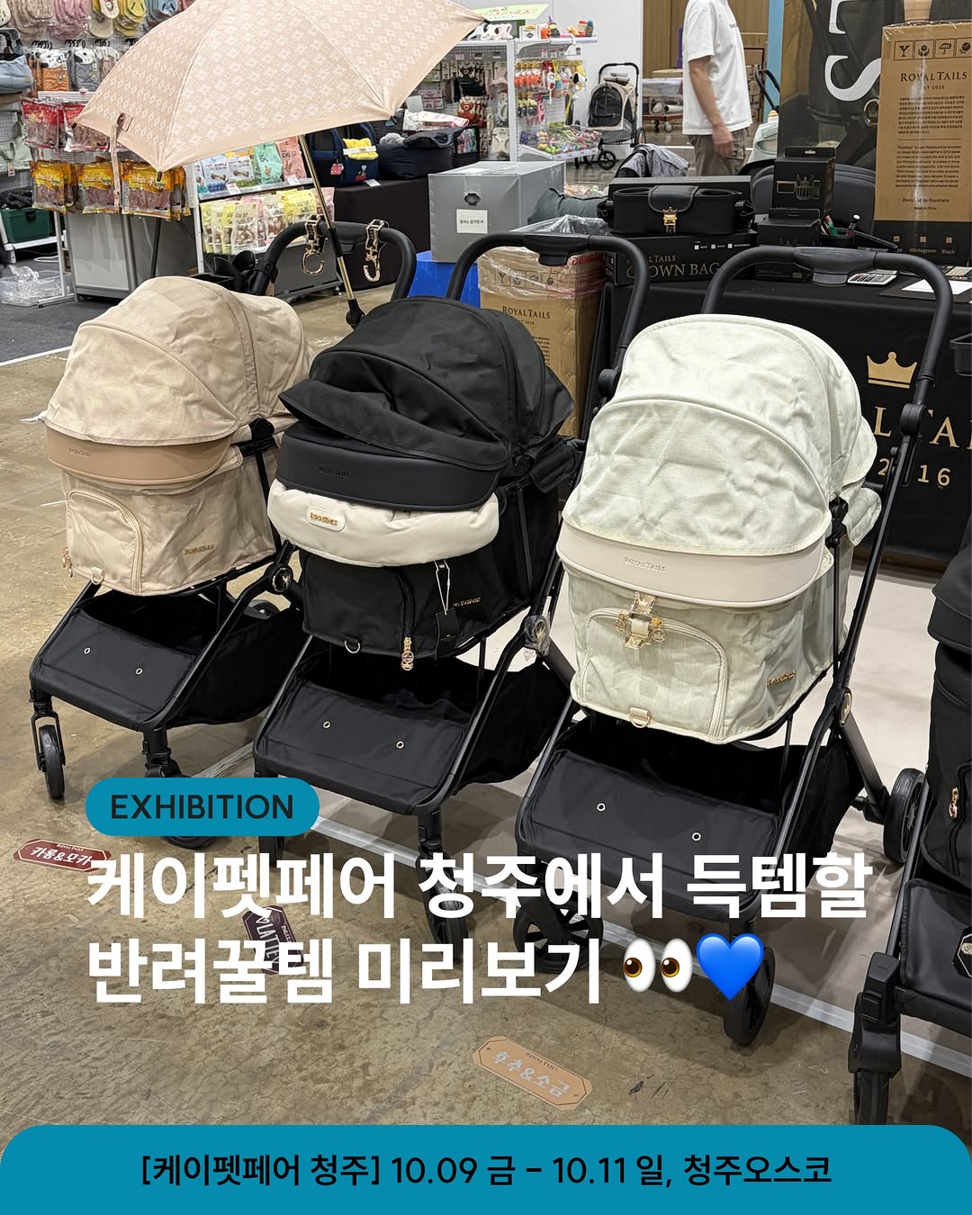 @kpetfair이 올린 펫생각 태그 게시물