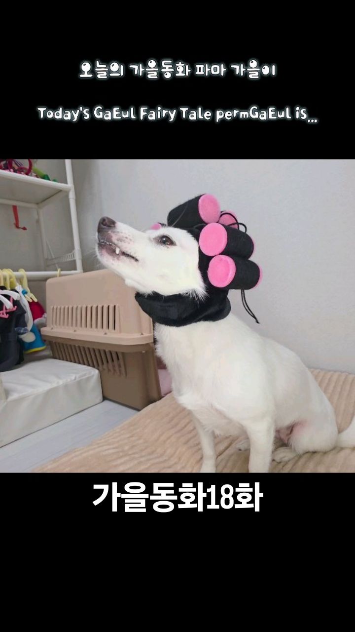 @stareal79이 올린 삼성전자 태그 게시물