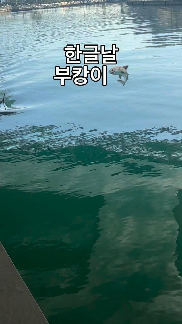 @kangcheezik이 올린 부산국제영화제 태그 게시물