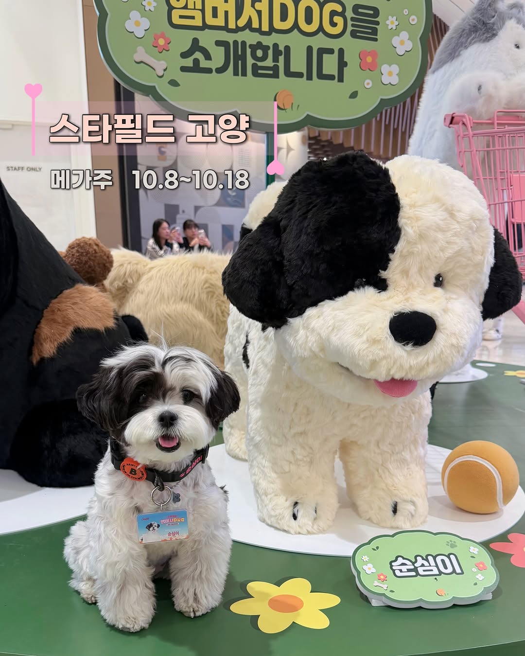 @sun_simii이 올린 슈퍼포우 태그 게시물