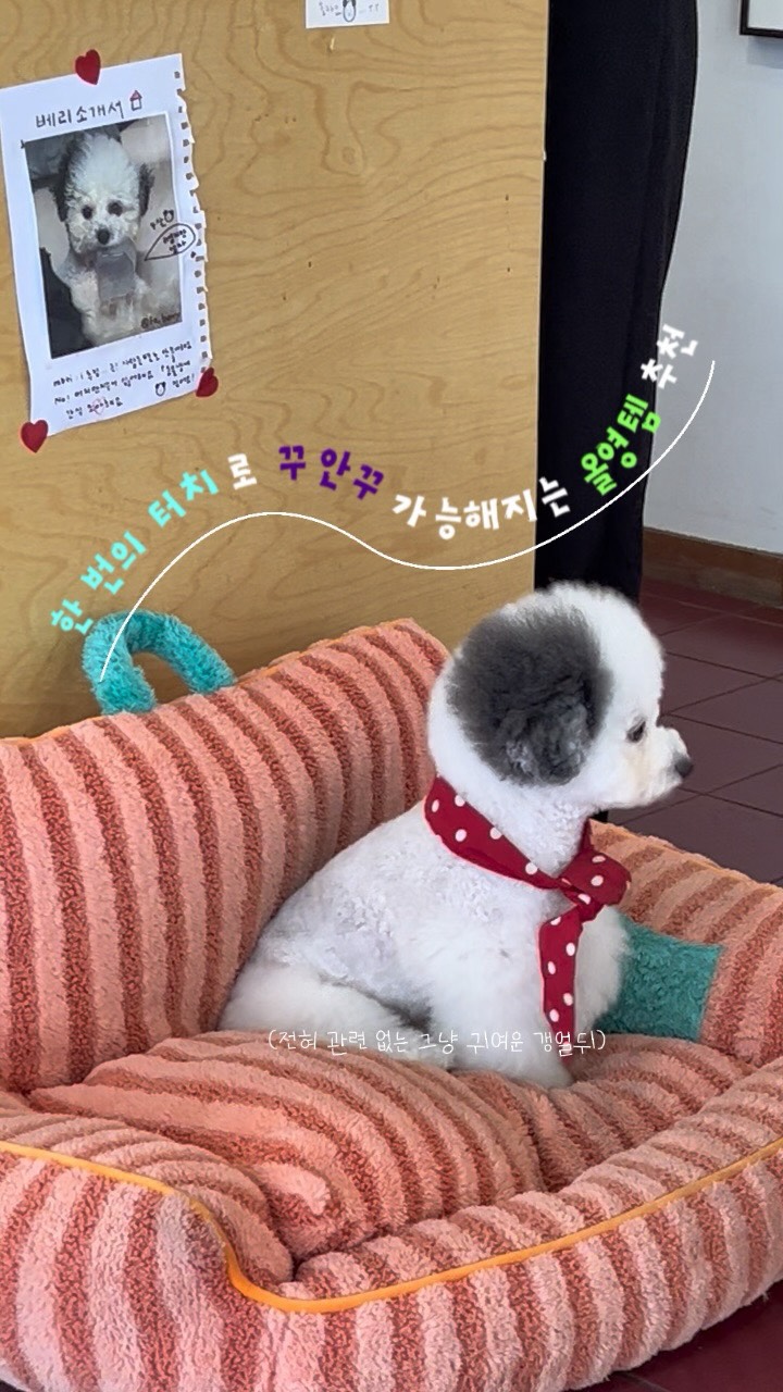 @sss_oom_nee이 올린 앤허니 태그 게시물