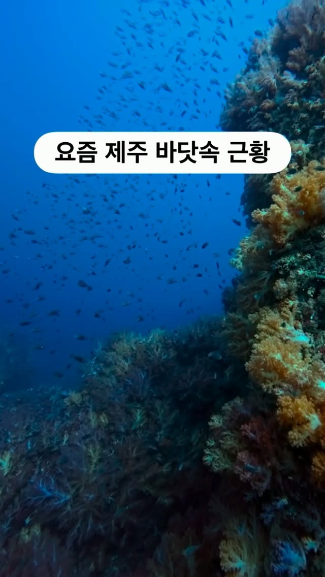 @traveler_gyu이 올린 인스타360 태그 게시물