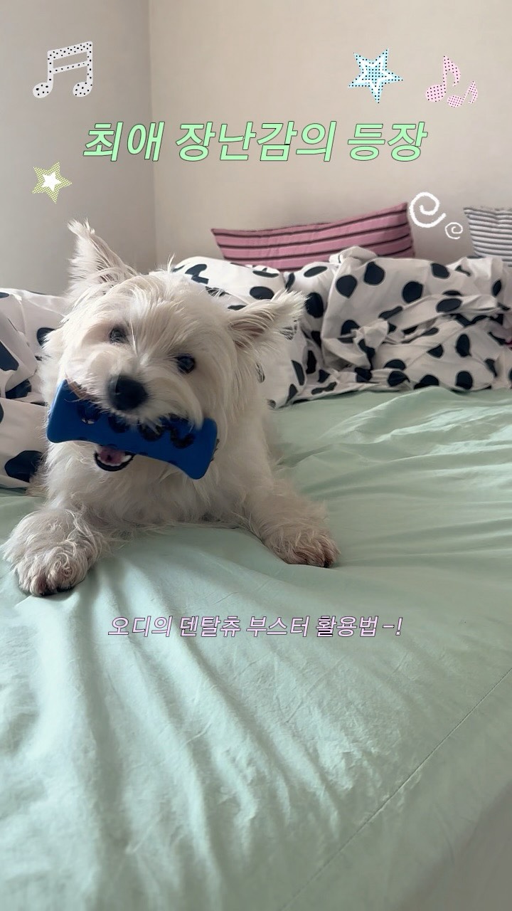 @ody_bestie이 올린 슈퍼포우 태그 게시물