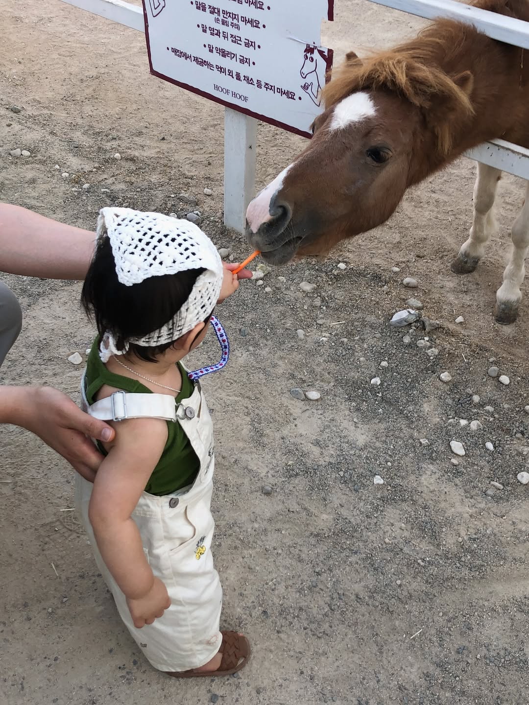 @shineon.taei이 올린 무무즈에센셜 태그 게시물