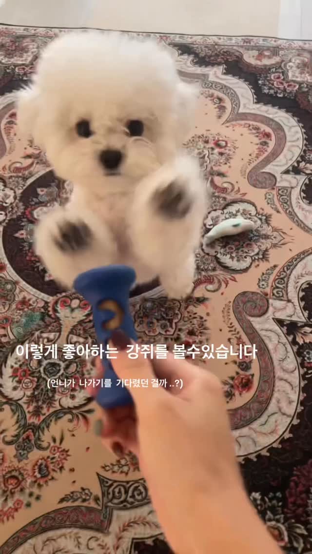@mell_is_fat이 올린 슈퍼포우 태그 게시물
