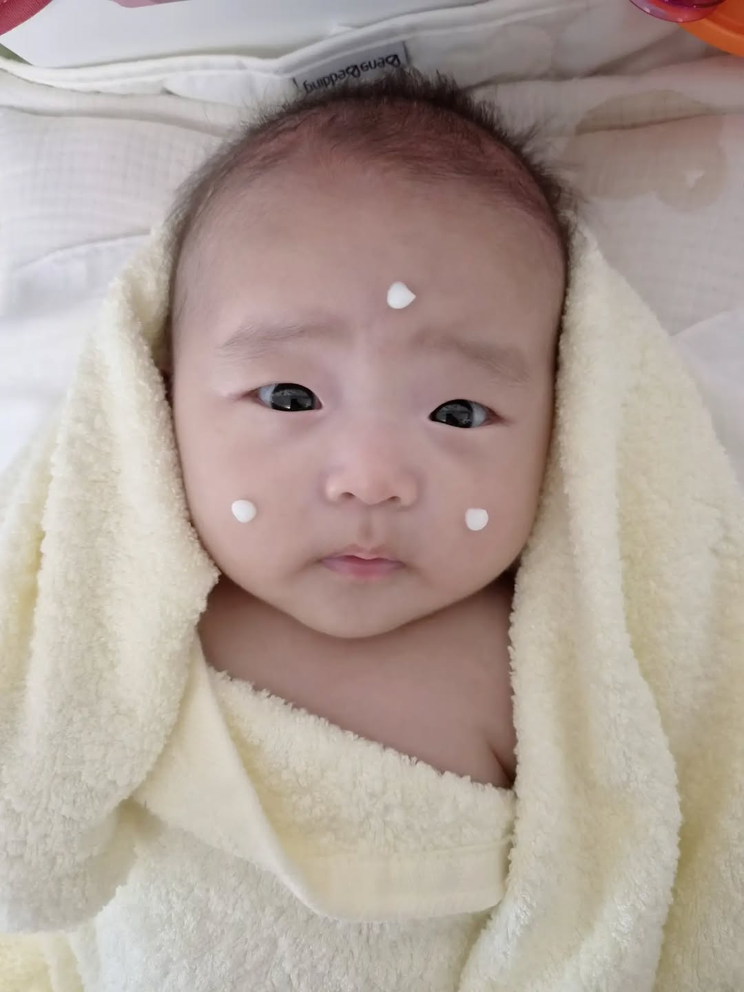 @yull._.love이 올린 쁘띠엘린 태그 게시물
