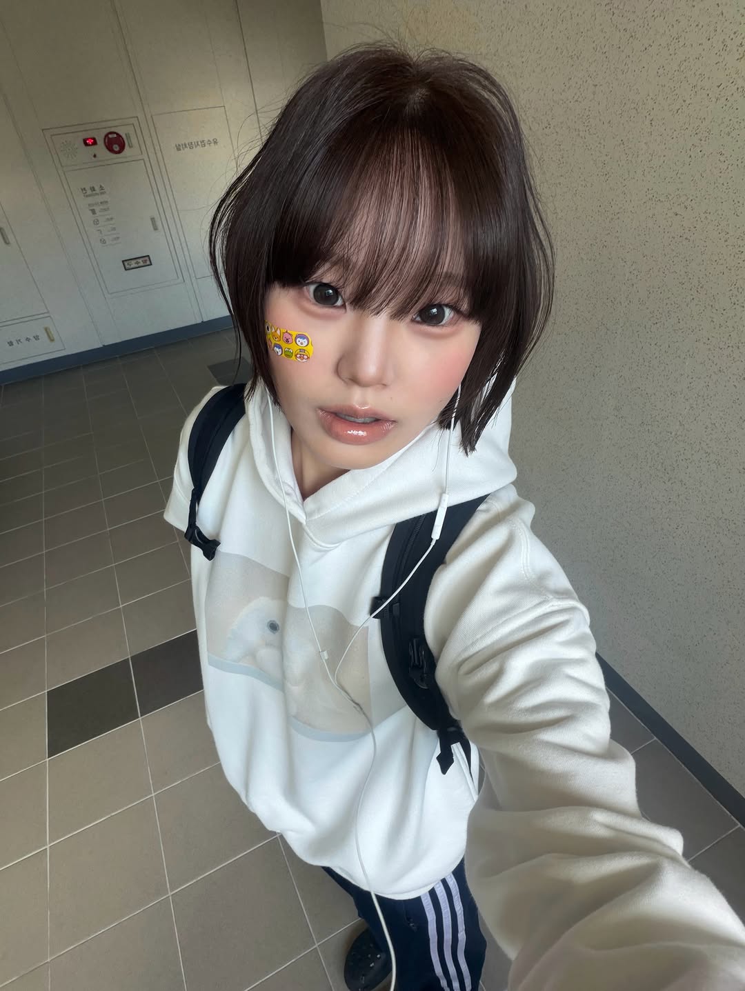 @meeeiine이 올린 코이세이오 태그 게시물