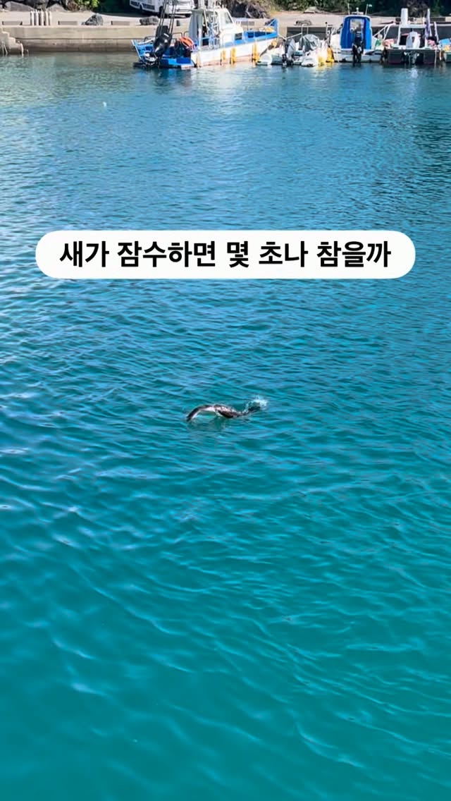 @traveler_gyu이 올린 인스타360 태그 게시물