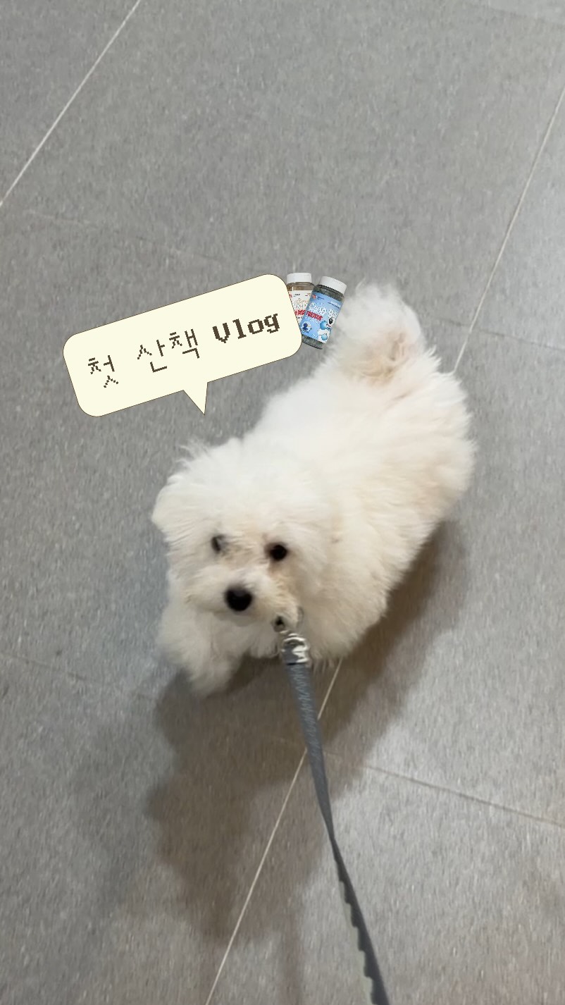 @we_seolpobi이 올린 슈퍼포우 태그 게시물