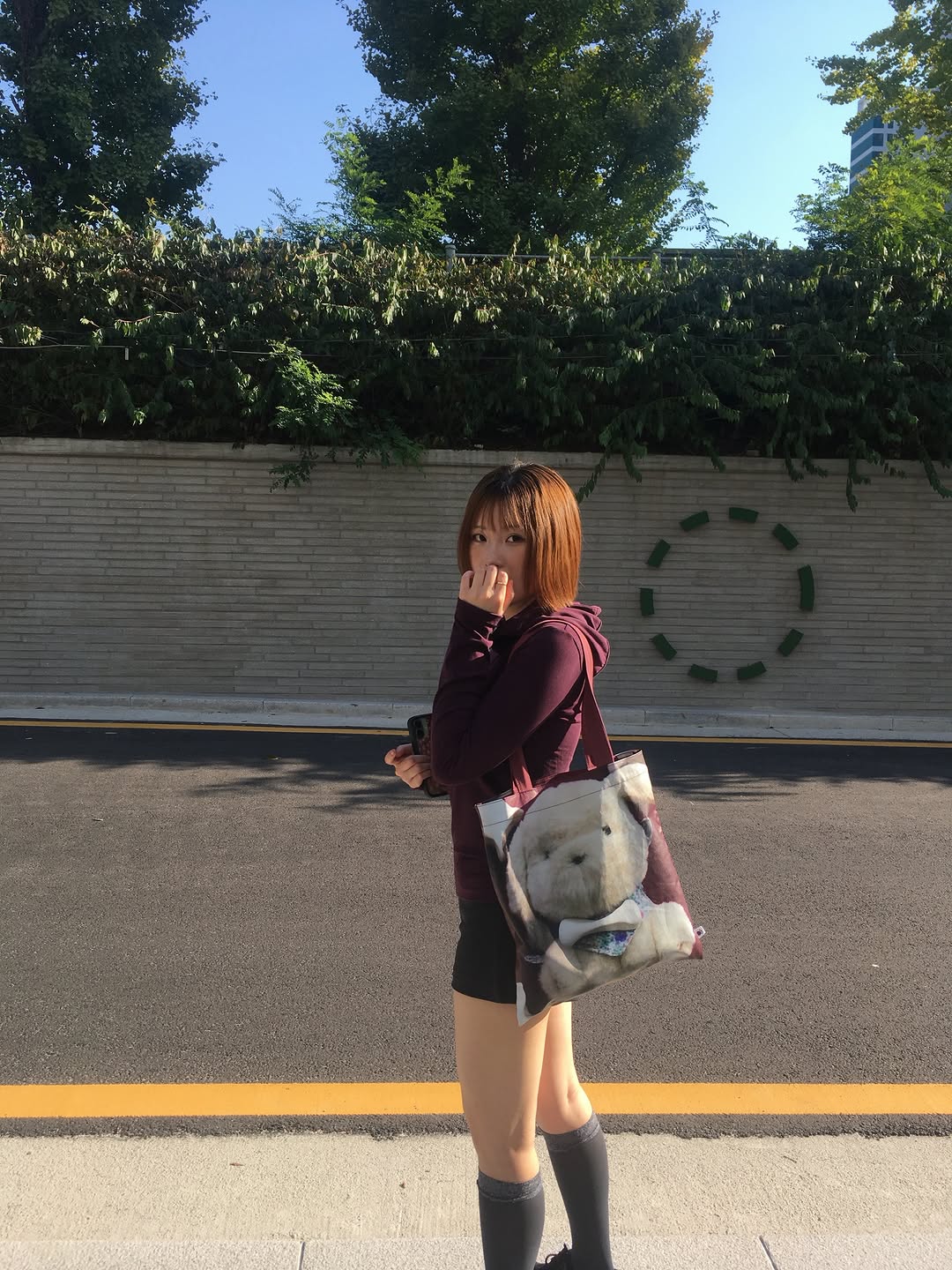 @9omchoi이 올린 코이세이오 태그 게시물
