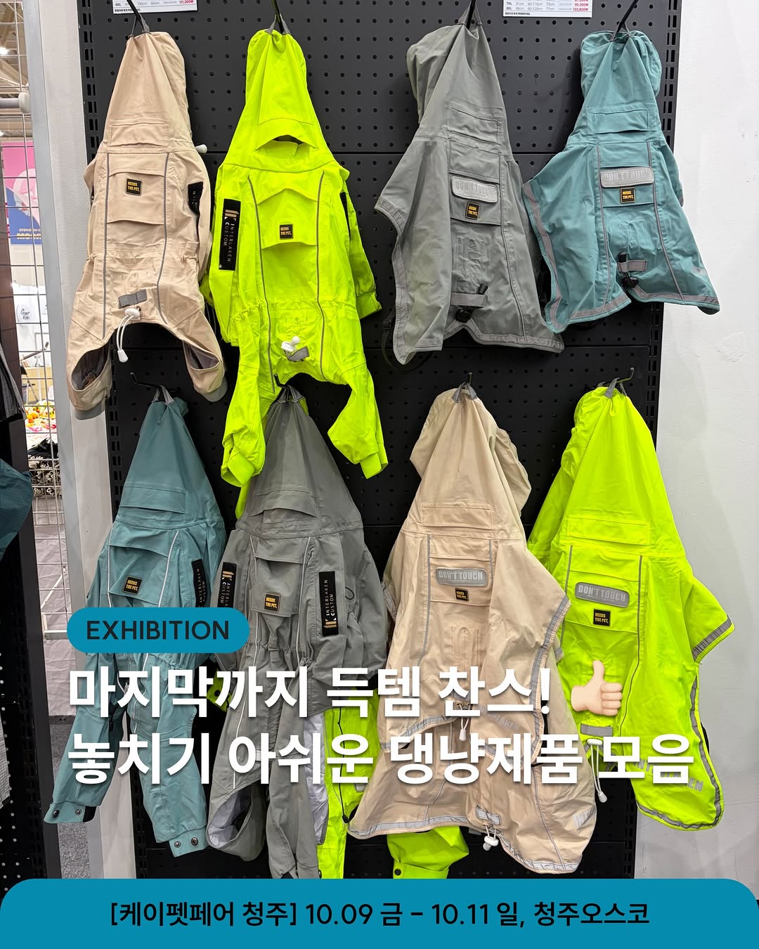 @kpetfair이 올린 펫생각 태그 게시물