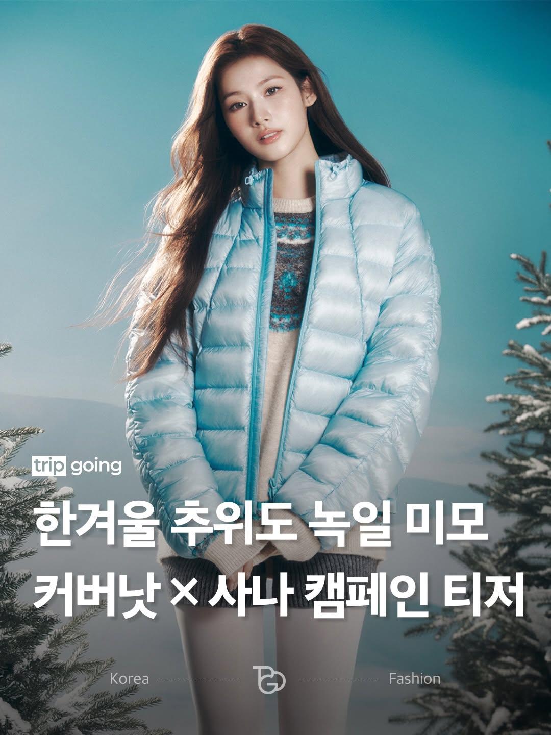 @_tripgoing이 올린 커버낫 태그 게시물
