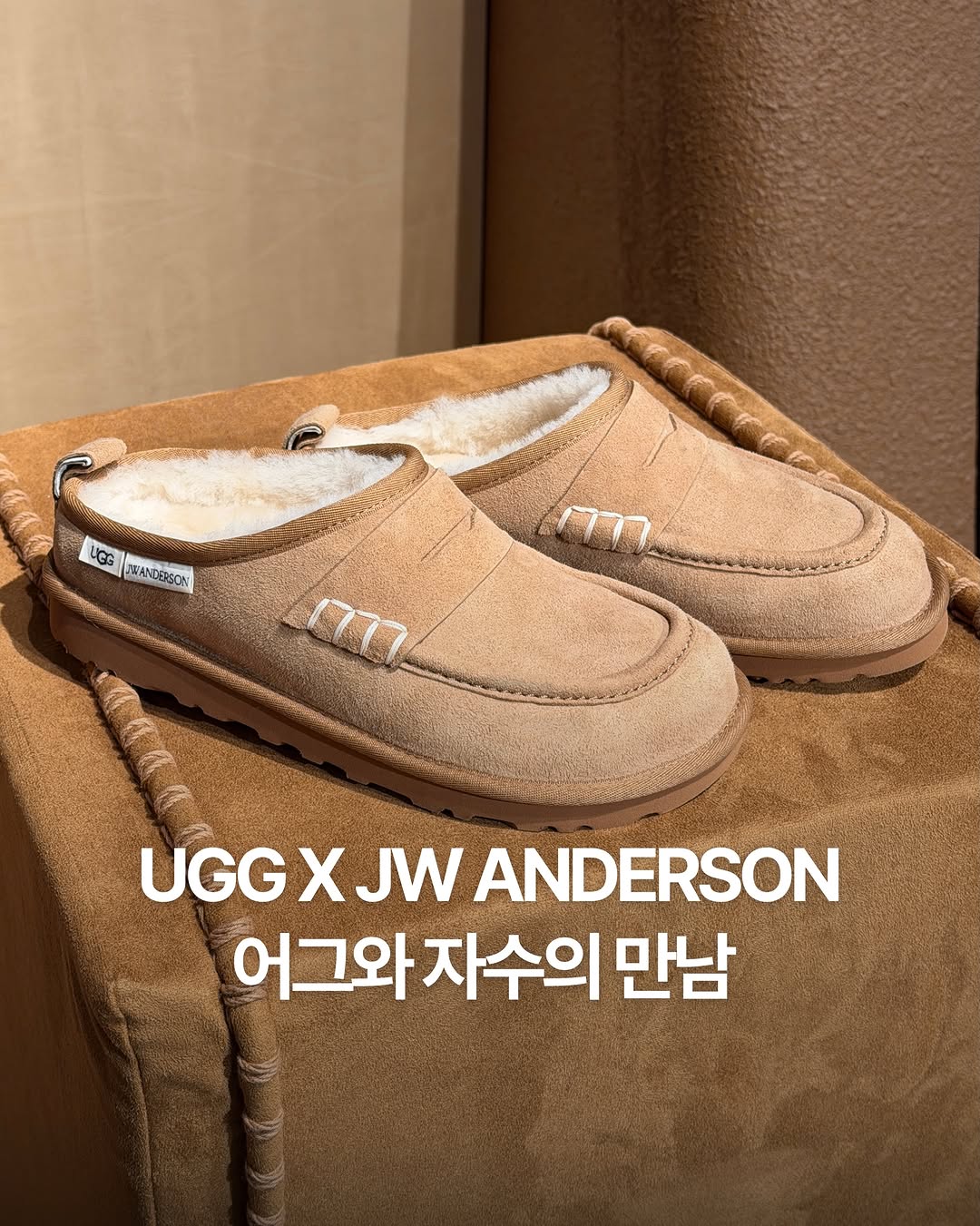 @dailyfashion_news이 올린 UGG 태그 게시물